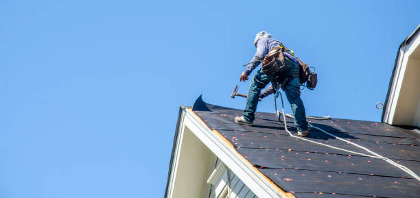 Best Roof Gutter Cleaning  in Bremen, OH
